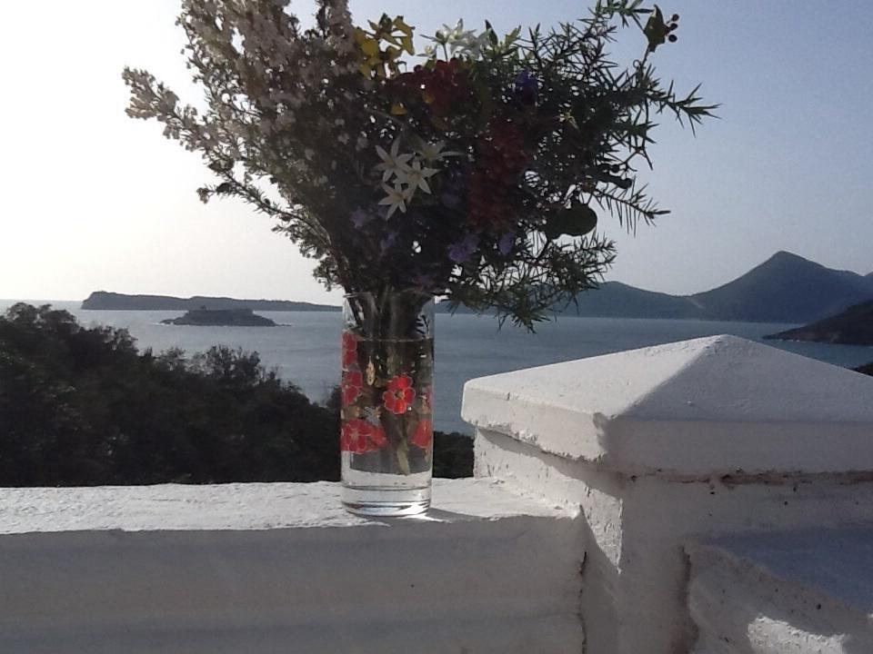 Villa Mirista Luštica Quarto foto