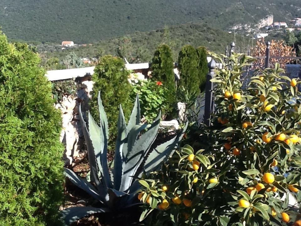 Villa Mirista Luštica Quarto foto